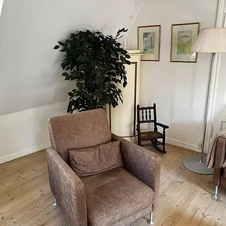 100 Kvadratmeter. Yderst Attraktivt Beliggenhed Apartment Kopenhagen