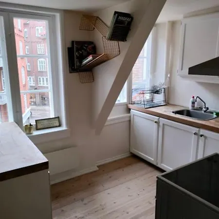 Apartman 100 Kvadratmeter. Yderst Attraktivt Beliggenhed Koppenhága